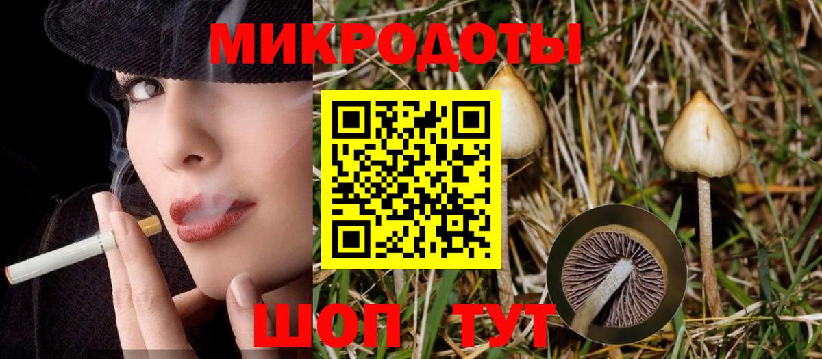 Галлюциногенные грибы Psilocybine cubensis  Вход с VPN  Нягань 
